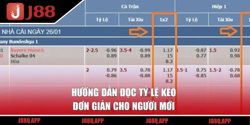 Hướng dẫn đọc tỷ lệ kèo đơn giản cho người mới 