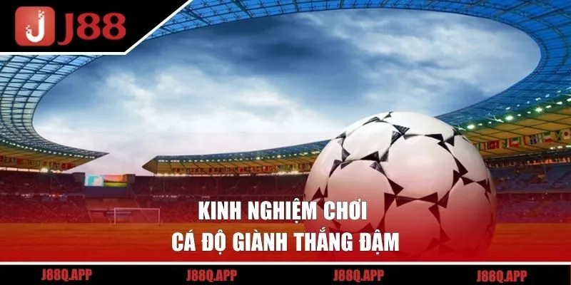 Kinh nghiệm chơi cá độ giành thắng đậm