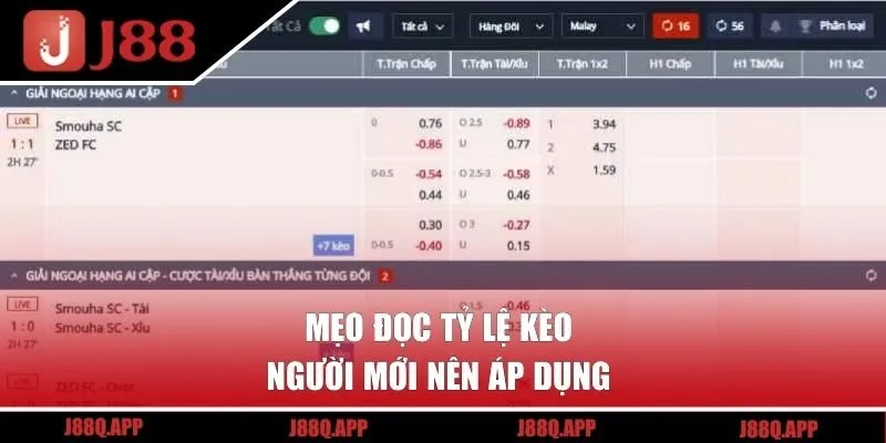 Mẹo đọc tỷ lệ kèo người mới nên áp dụng 