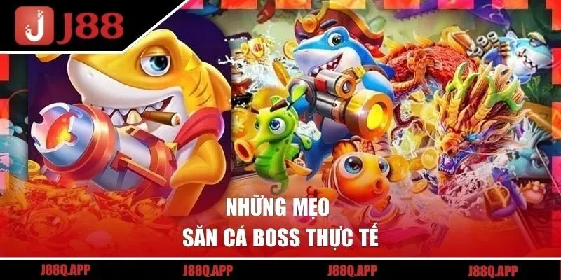 Những mẹo săn cá boss thực tế