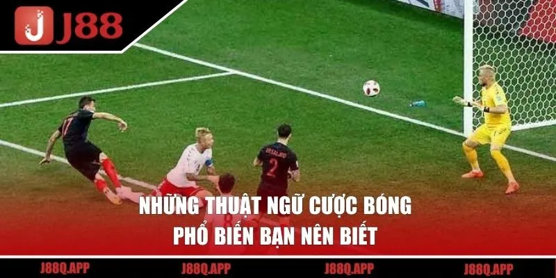 Những thuật ngữ cược bóng phổ biến bạn nên biết